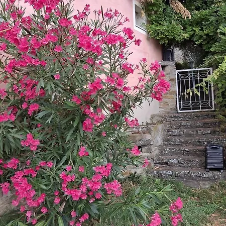 Ca' Del Cucco Piscina Privata Tra Le Colline Vila San Giorgio Scarampi