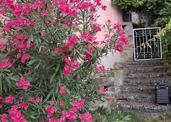 Ca' Del Cucco Villa San Giorgio Scarampi